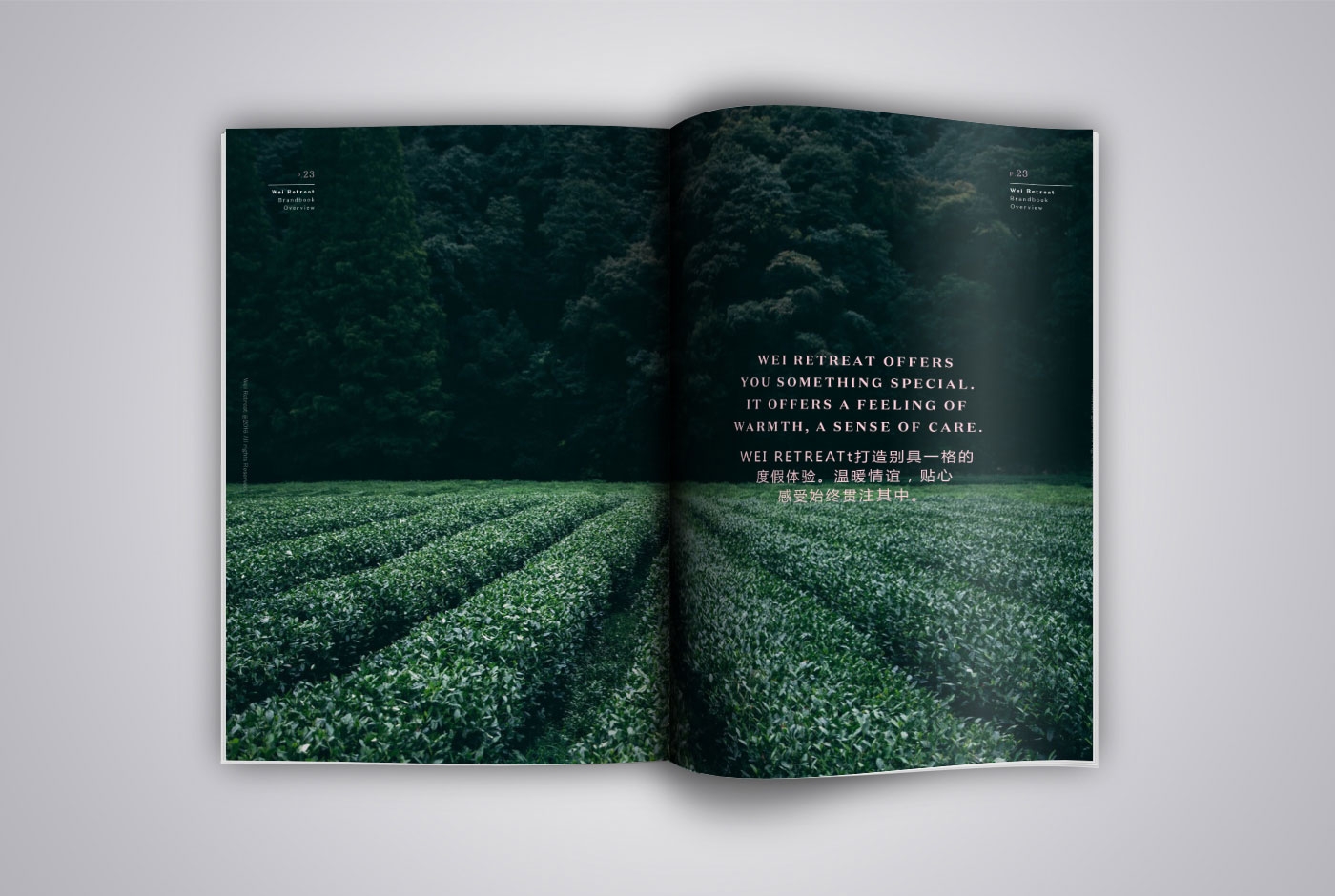 分析型天平PTX-FA系列